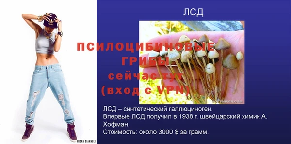 MDMA Дмитриев