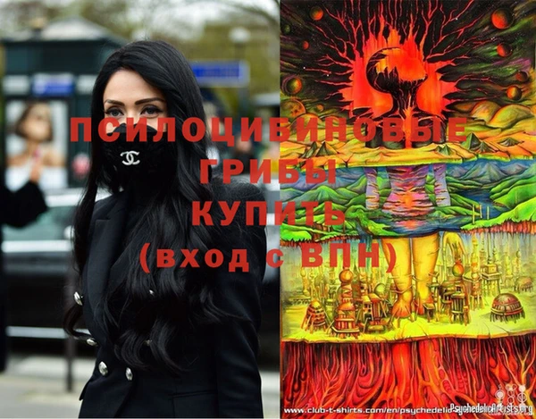 дурь Дмитров