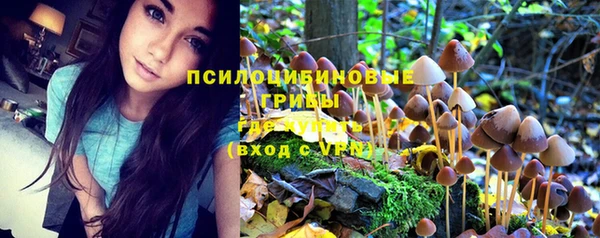 MDMA Дмитриев