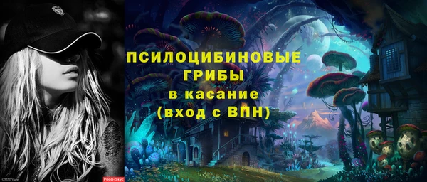 дурь Дмитров