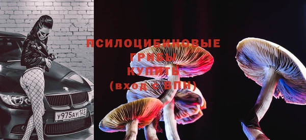 MDMA Дмитриев