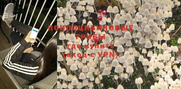дурь Дмитров