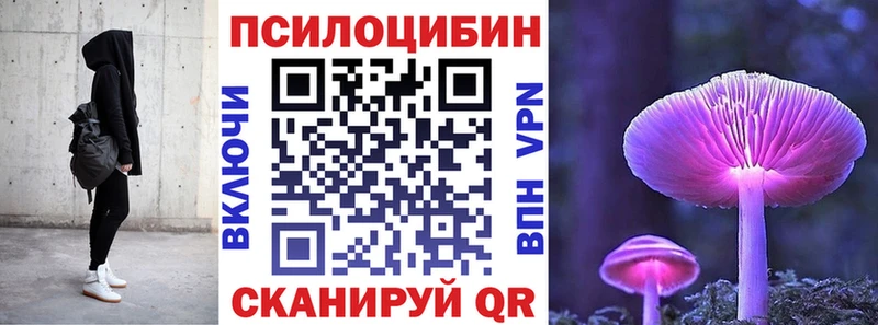 площадка официальный сайт  наркотики  Дудинка  Псилоцибиновые грибы Psilocybe 
