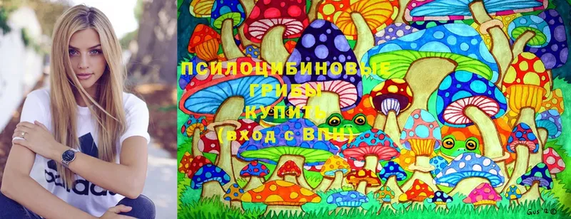 Псилоцибиновые грибы Magic Shrooms  наркошоп  Дудинка 